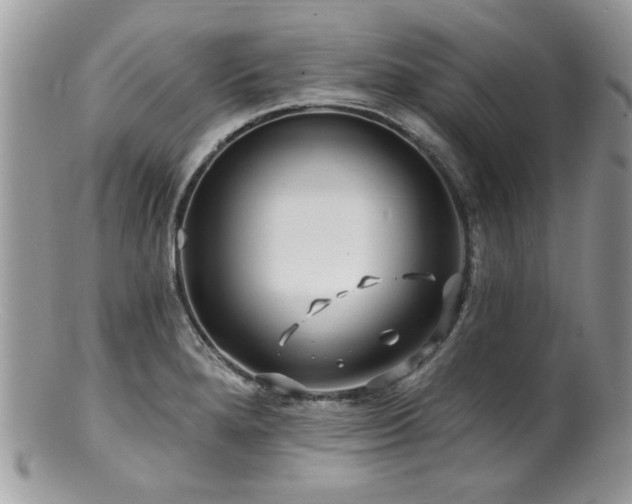 X0000100841280200806201142