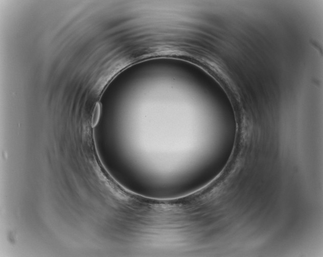 X0000100841281200806201142