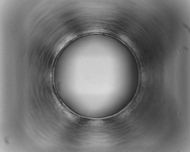 X0000100841282200806201142