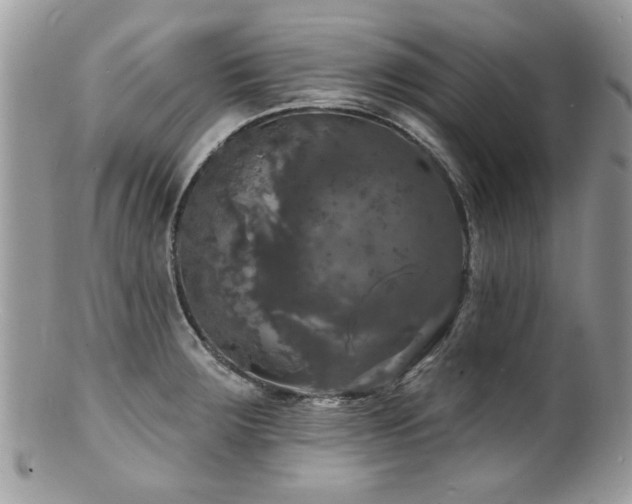 X0000100841283200806201142