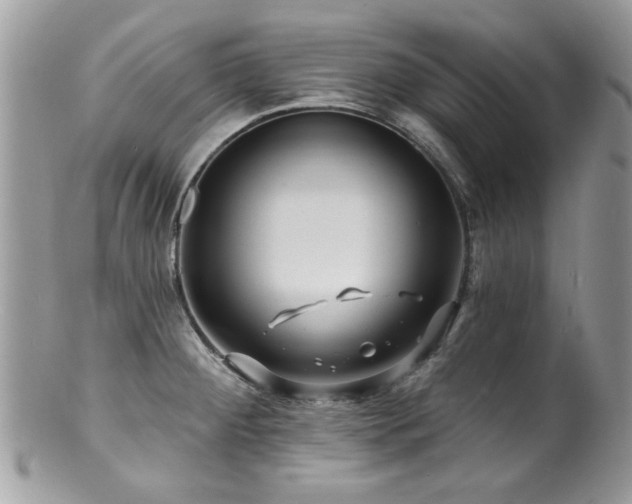 X0000100841284200806201142