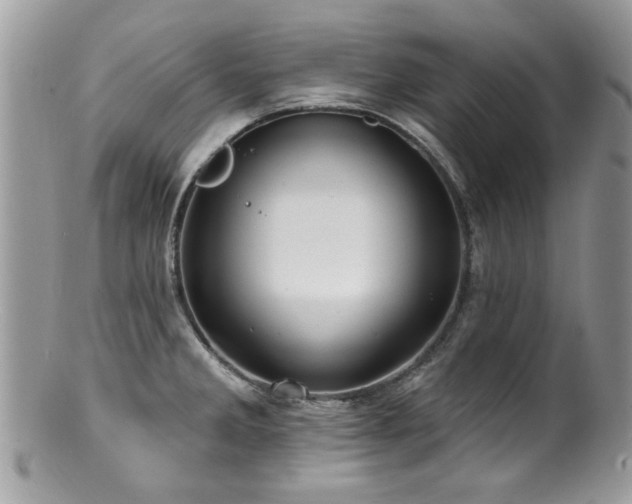 X0000100841285200806201142