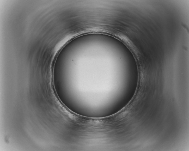 X0000100841286200806201142