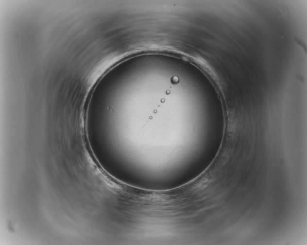 X0000100841287200806201142