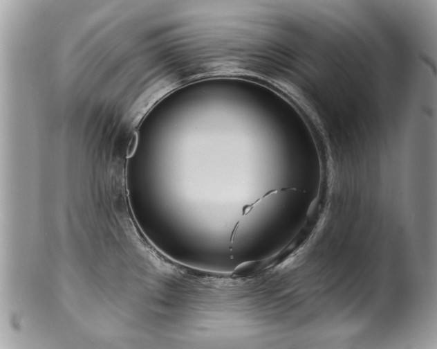 X0000100841289200806201142