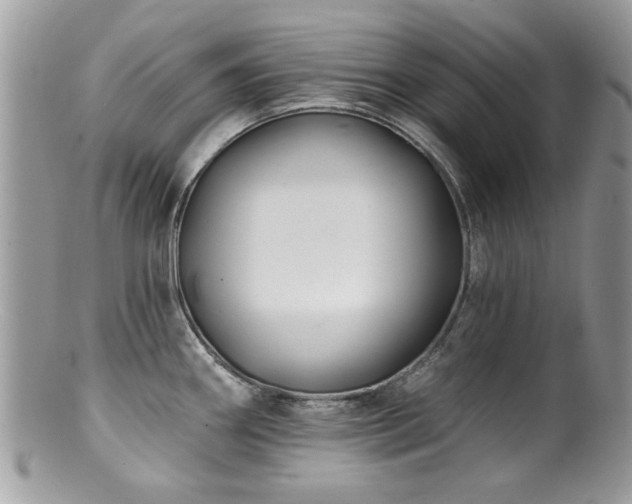 X0000100841290200806201142