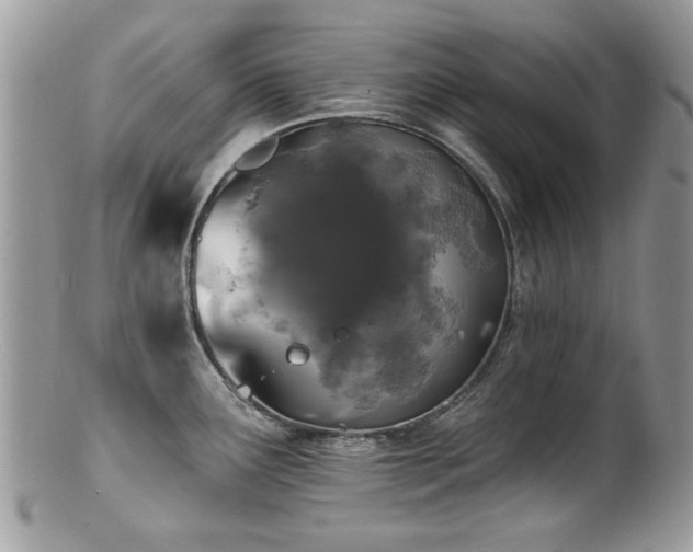 X0000100841291200806201142