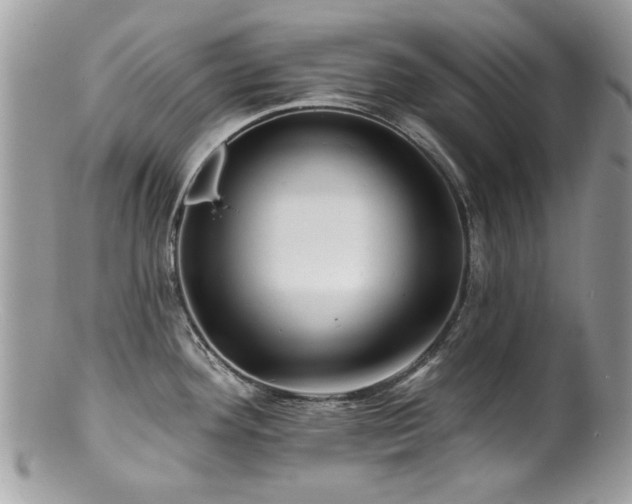 X0000100841292200806201142