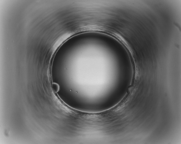 X0000100841293200806201142