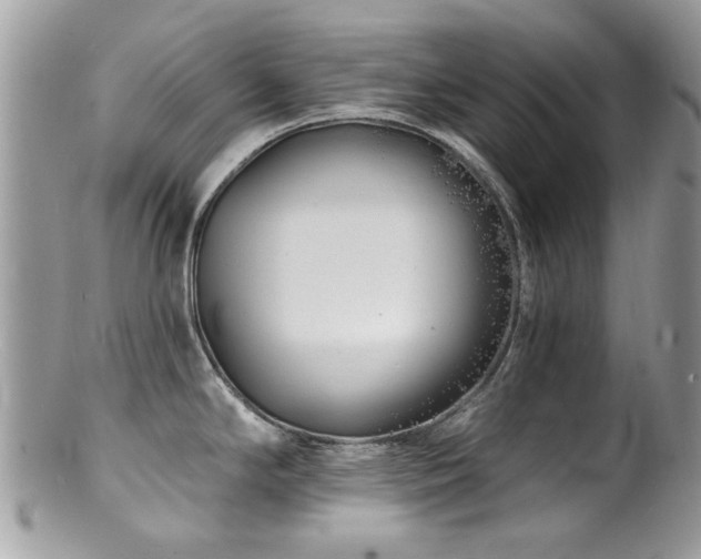 X0000100841294200806201142