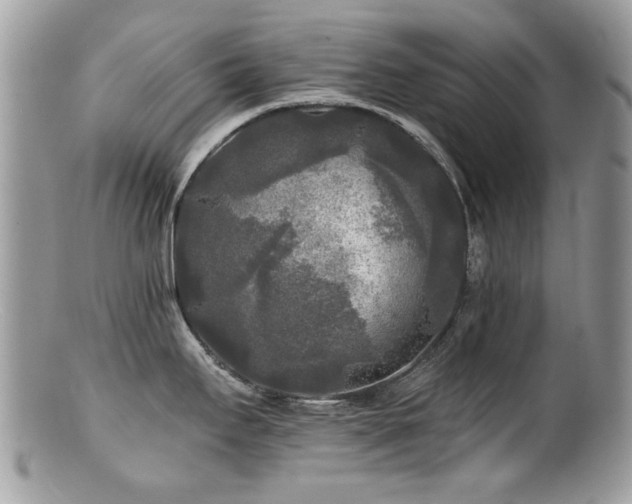 X0000100841295200806201142