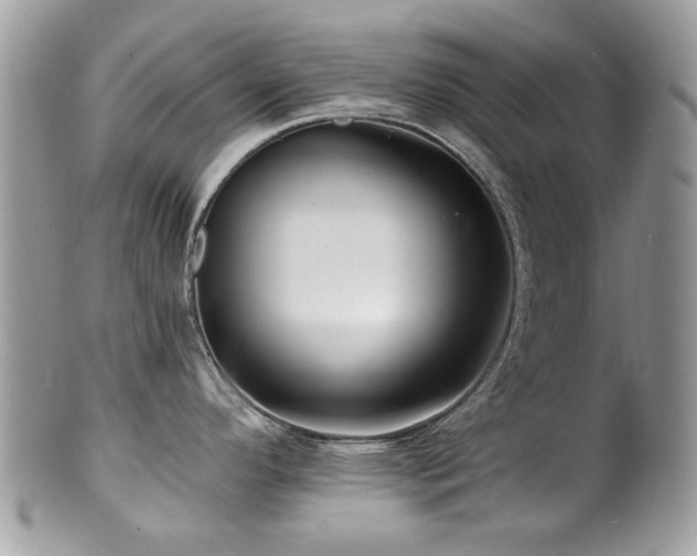 X0000100841296200806201142