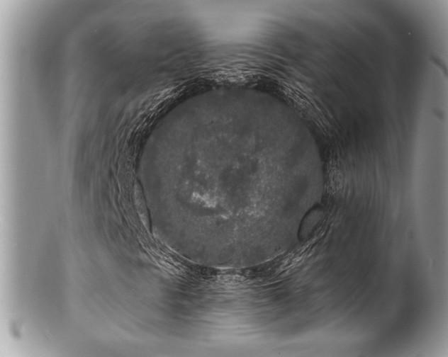 X0000100841297200806201141