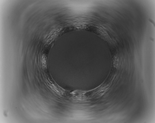 X0000100841298200806201141