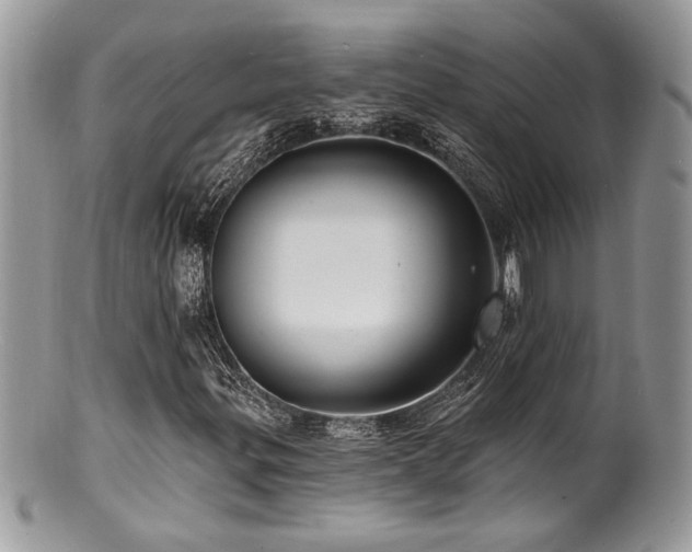 X0000100841299200806201141