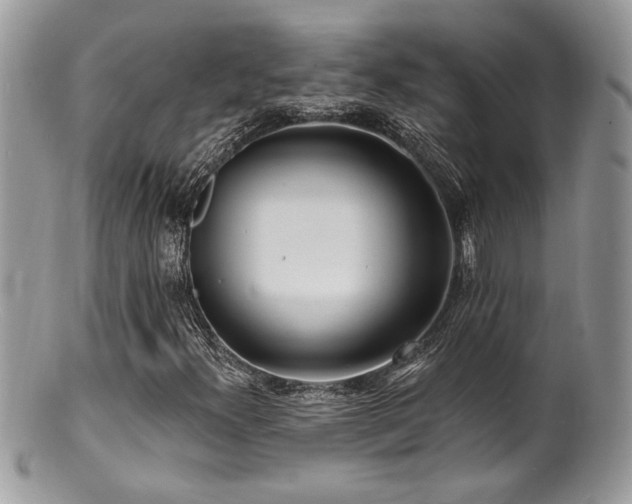 X0000100841300200806201141