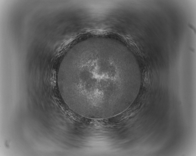 X0000100841301200806201141