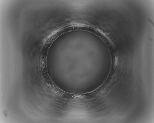 X0000100841303200806201141