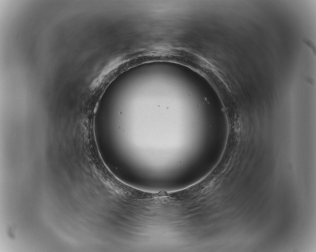 X0000100841304200806201141