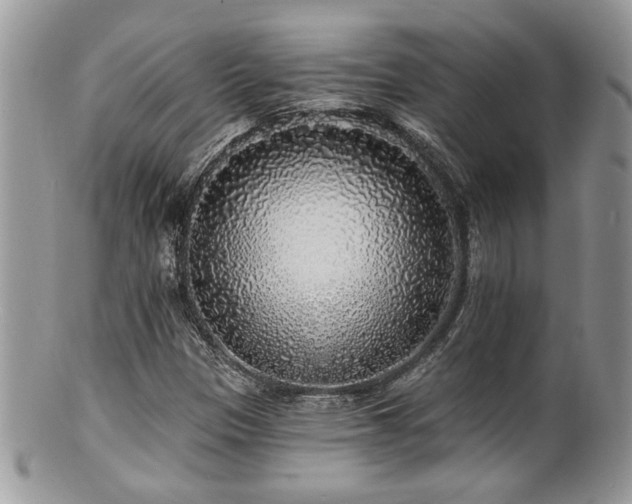 X0000100841305200806201141