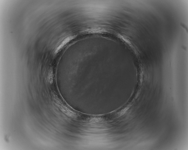 X0000100841306200806201141