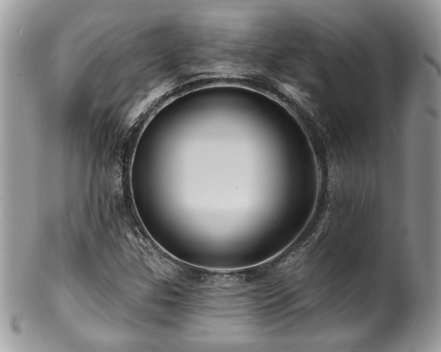 X0000100841307200806201141