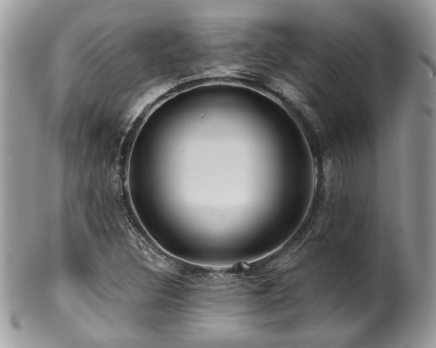 X0000100841308200806201141