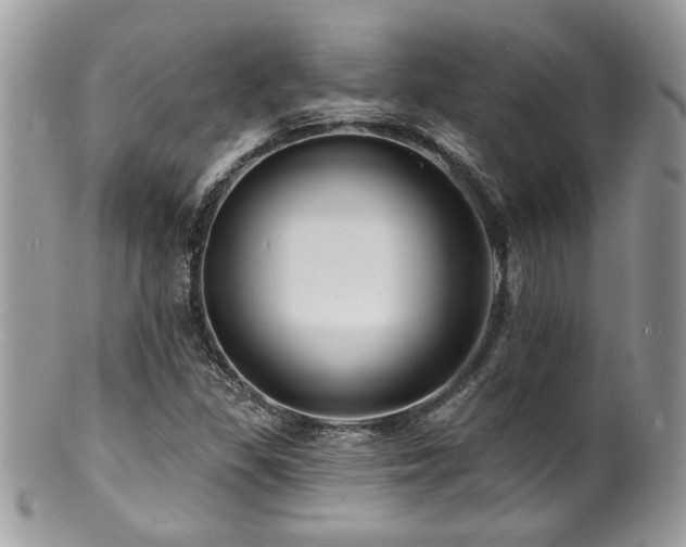 X0000100841309200806201141