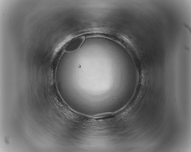 X0000100841310200806201141