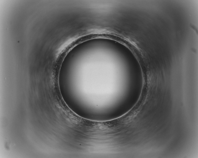 X0000100841311200806201141