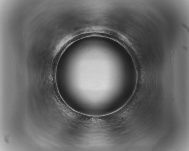 X0000100841312200806201141