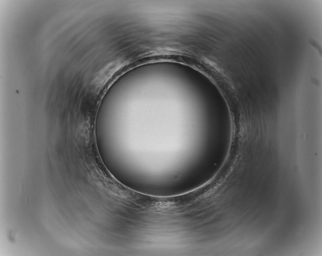 X0000100841313200806201141