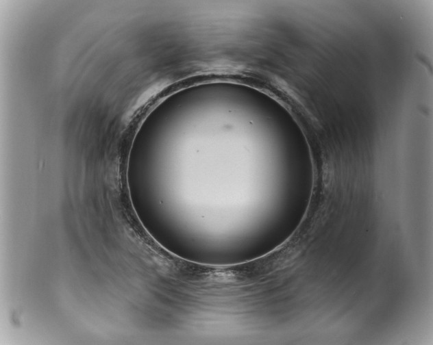 X0000100841315200806201141