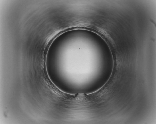 X0000100841316200806201141