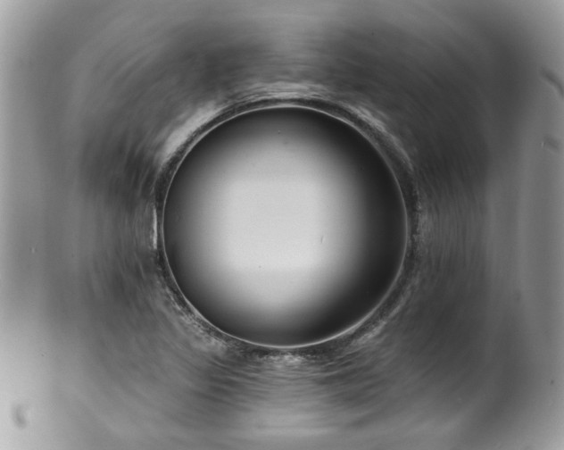 X0000100841317200806201141