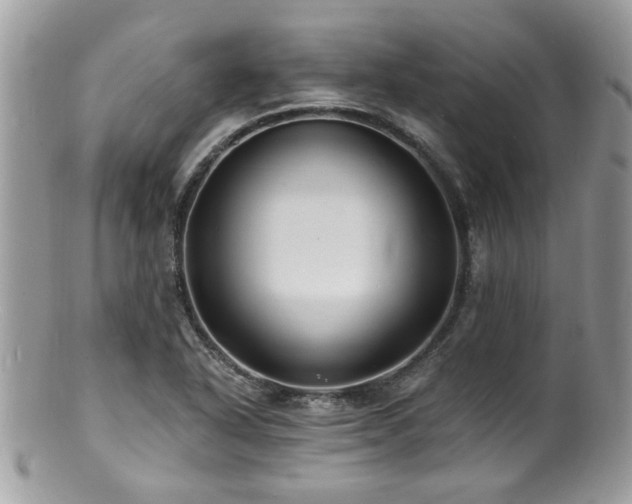 X0000100841318200806201141