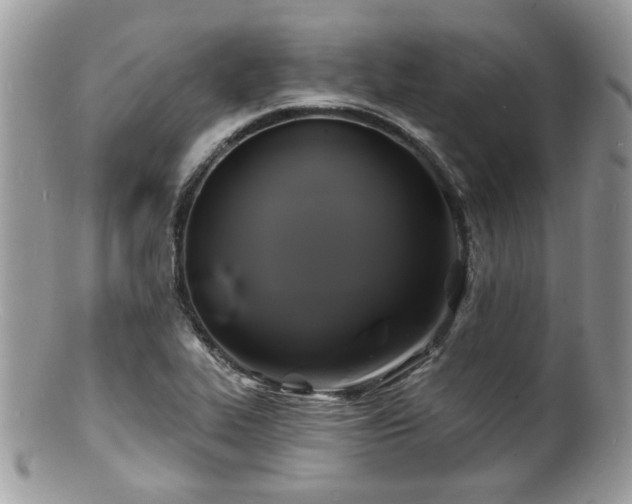 X0000100841319200806201141