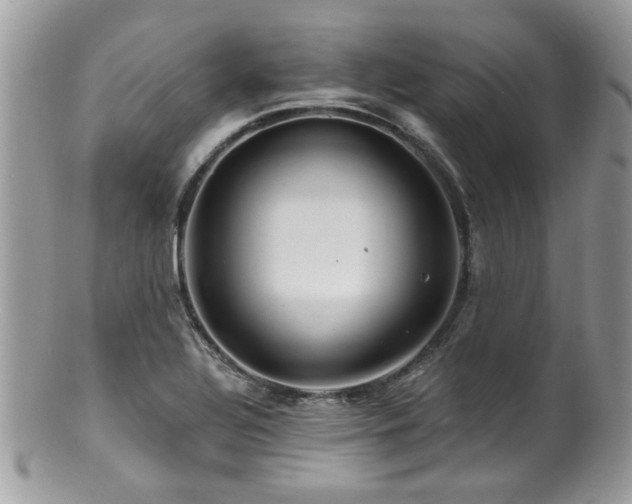 X0000100841320200806201141