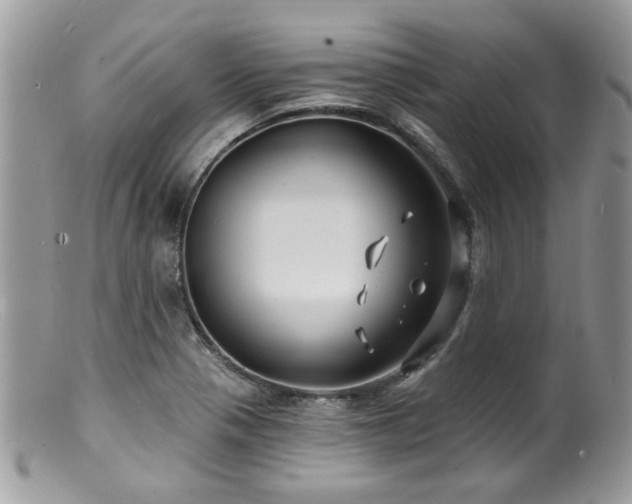 X0000100841321200806201141