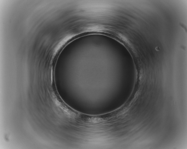 X0000100841323200806201141