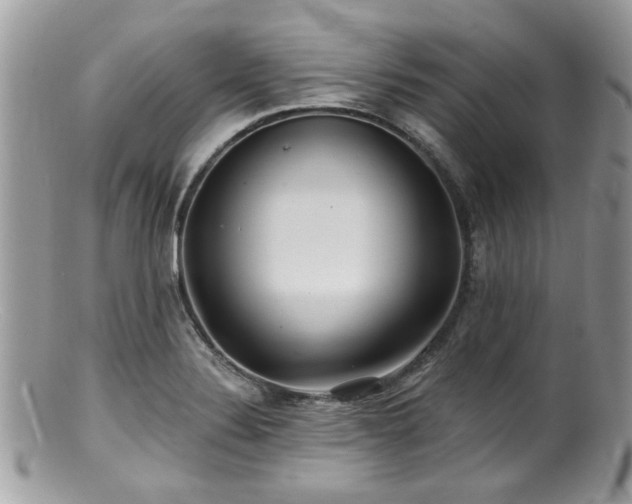 X0000100841324200806201141