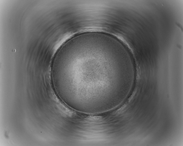 X0000100841325200806201141