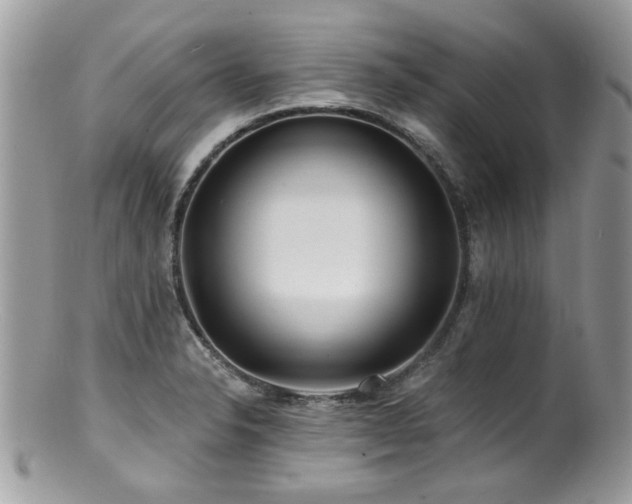 X0000100841326200806201141