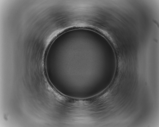 X0000100841327200806201141