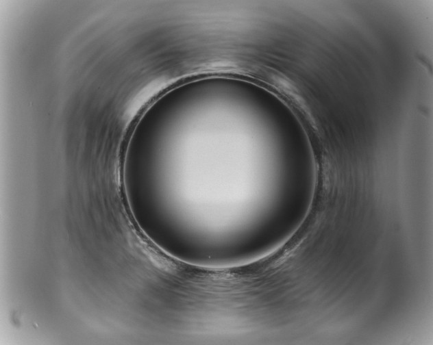 X0000100841328200806201141