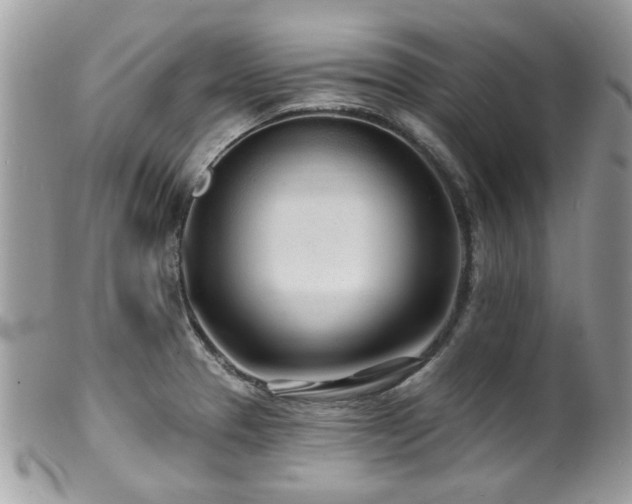 X0000100841329200806201141