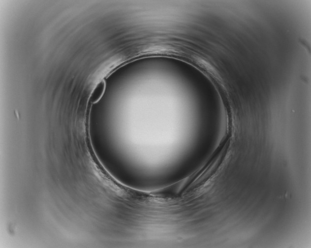 X0000100841330200806201141