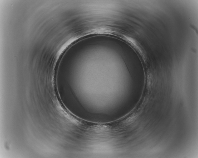 X0000100841331200806201141