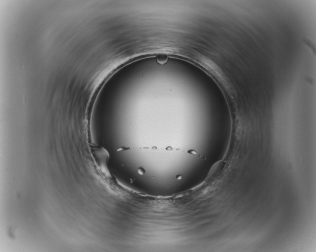 X0000100841332200806201141