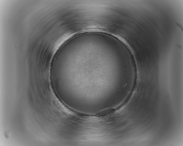 X0000100841333200806201141